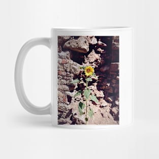 Sunflower in front of castle wall Mug